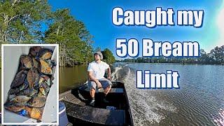 Bream Fishing - Caught My Limit Again at Lake Wallace