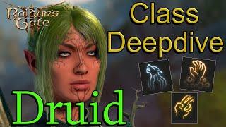 Ultimate Druid Class Guide | Baldur's Gate 3