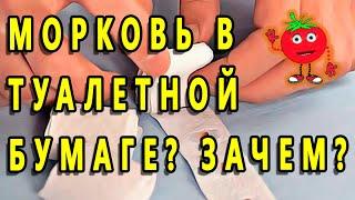 МОРКОВЬ В ТУАЛЕТНОЙ БУМАГЕ? ЗАЧЕМ?