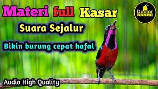 KOLIBRI NINJA GACOR FULL ISIAN MATERI KASAR COCOK BUAT MASTERAN KONIN BAHAN BELAJAR BUNYI NEMBAK