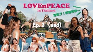 LOVEnPEACE in Thailand Ep.3// 醉酒實錄/ Sense of Thai/ Bubble in the forest/ 北碧府動物園 Safari