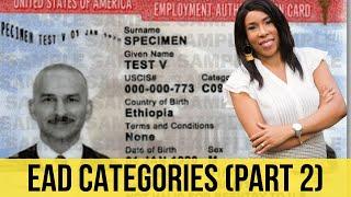 Who Can Apply For Employment Authorization Document? (PART 2)