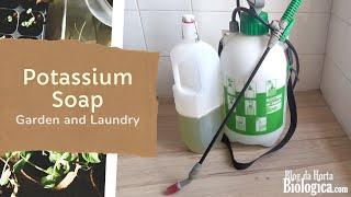 Potassium Hydroxide Liquid Soap for Garden Pests and Laundry