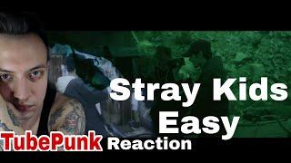 Stray Kids "Easy" M/V REACTION ! TubePunk смотрит / Реакция на клип