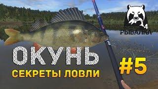 Русская рыбалка 4 #5 - Окунь. Секреты ловли на озере Комариное