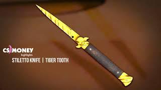 CS:GO | Stiletto Knife - Tiger Tooth