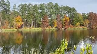 Ratcliff Lake in Davy Crockett National Forest