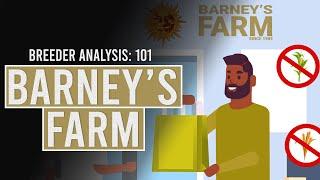 Barneys Farm: Breeder Analysis 101