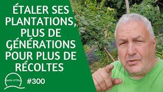 #300-Étaler ses plantations : plus de générations pour plus de récoltes