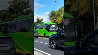 MOBIL BUS PUSPA JAYA NGEBUT VS MINI BUS VS TRUK OLENG #shorts #trending #subscribe