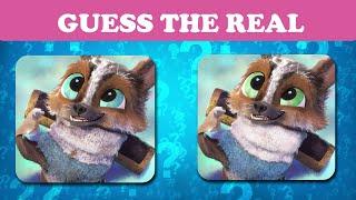 Guess The Real Puss In Boots 2 Character| Puss In Boots: The Last Wish  Quiz