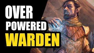 This Is INCREDIBLE! ️ Overpowered HYBRID Warden Bow / Frost Staff Build - WINTER'S REVENGE
