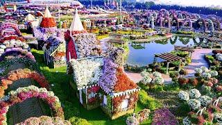 Dubai Miracle Garden, НАЙБІЛЬШИЙ в СВІТІ КВІТКОВИЙ САД ЧУДЕС, ДУБАЙ