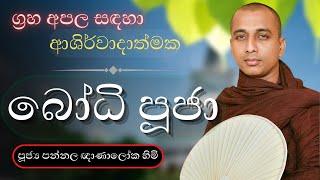 මහා බලසම්පන්න ආශිර්වාද බෝධි පුජා | Bodhi Pooja |  Bodi Puja