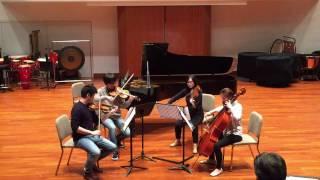 Schubert String Quartet No 13, first movement