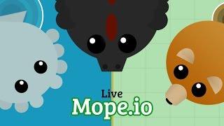 Mope.io Live XXV: Introducing Teddy Bear Mod Pack! | New Ability for Bear, Dragon Fireballs & More