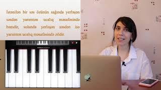 № 11 Yarımtonlar və tonlar / Musiqinin elementar nəzəriyyəsi - Solfecio (Piano) dərsləri