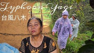 Searching for Nhu After Typhoon Yagi: A Mother’s Call for Help in Searching for Nhu | Ly Phuc Huyen