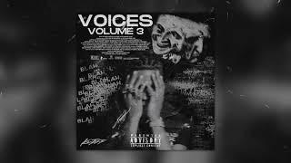 Lil Baby Loop Kit "Voices Vol. 3" (Lil Baby, Fridayy, Vocals, Etc.)
