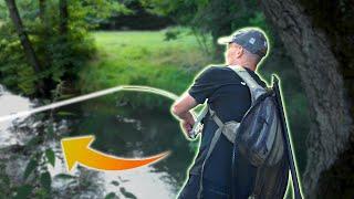 Late Summer Fishing For Sea Run Brown - Big Fish Attacks The Spinner!