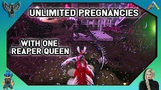 UNLIMITED PREGNANCIES WITH 1 REAPER QUEEN : HOW TO BUILD THE TRAP Ark Survival Evolved