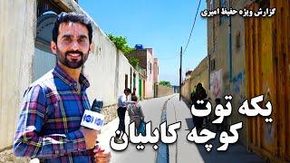 Yaka Toot, Kabulian Alley in Hafiz Amiri report / یکه توت، کوچه کابلیان در گزارش حفیظ امیری