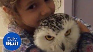 Cute little girl kisses and hugs her pet owl - Daily Mail