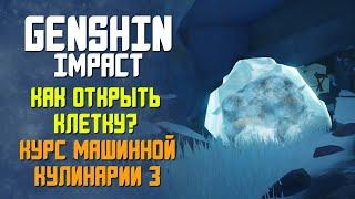 КАК ОТКРЫТЬ КЛЕТКУ С КАБАНОМ? | КУРС МАШИННОЙ КУЛИНАРИИ 3 | GENSHIN IMPACT