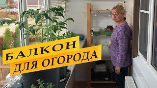 Как устроен мой балкон для зимнего огорода и рассады.