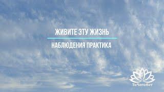 Как получать удовольствие от любого дела и оставаться полным сил 