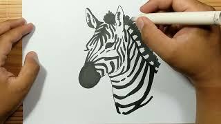 How to draw ZEBRA HEAD