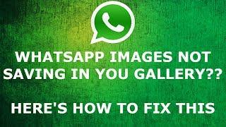 [SOLVED!] How to FIX WHATSAPP FILES NOT SAVING IN YOUR GALLERY