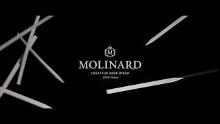 Molinard - Perfume workshops