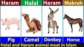 Haram and Halal animal meat in Islam