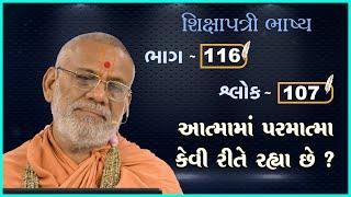 Shikshapatri Bhashya Katha - 116 | 25 Jun 2024 | Gyanjivandasji Swami - Kundaldham