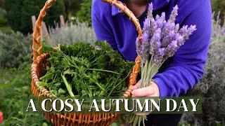 Starting Ranunculus & Anemones, Making Apple Muffins & Harvesting Herbs to Dry  A Cosy Autumn Day