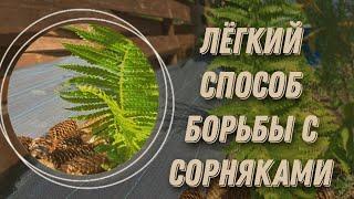 Как избавиться от сорняков? ЭФФЕКТ(ИВ)НЫЙ СПОСОБ БОРЬБЫ С СОРНЯКАМИ! Сорнякам бой!