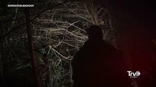 EXPEDITION BIGFOOT Season 3 Finale Clip: "Team Stumbles Upon Large Nest" / Travel Channel