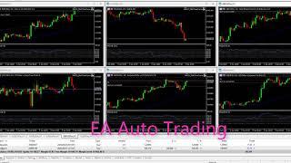 Ea Auto Trading ( TEST2 )