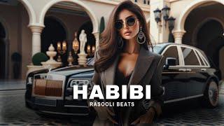 HABIBI International Deep House Mix (Rasooli Beats)