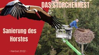 *44 - Das Storchennest wird erneuert #storch #nature