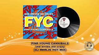 FINE YOUNG CANNIBALS - she drives me crazy (DJ MERLIN HOT MIX)