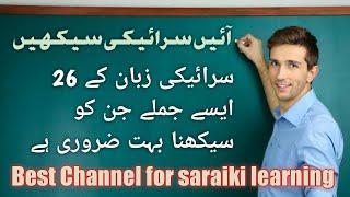 26 sentences of Saraiki || way of talking in saraiki Language || Most common sentences of saraiki