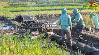 Traktor Sawah Kerja Pagi Mulai Dari Petak Kecil