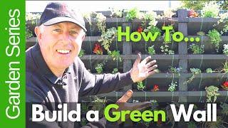 How to Build a Green Wall or living wall