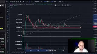 Anita Max WYNN Solana Coin MEME Price Prediction and Technical Analysis Today 2024