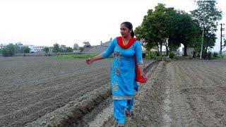 Pind te khet,.. Indian rural life of Punjab.. village life