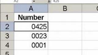 HOW TO KEEP LEADING ZEROS ON LEFT IN EXCEL 2010? VIDEO TUTORIAL