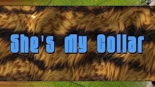 Gorillaz ft. Kali Uchis "She's My Collar" Lyric Video