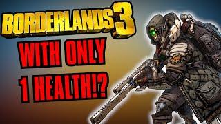 Can You Play Borderlands 3 Without Taking Damage?